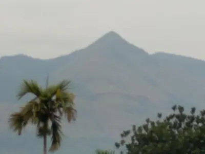a palm tree and a mountain in the background at Homely Homes in Kalpetta