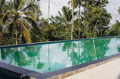 a swimming pool with palm trees in the background at kaffee valley - Kurumbalakotta in Padinjarathara