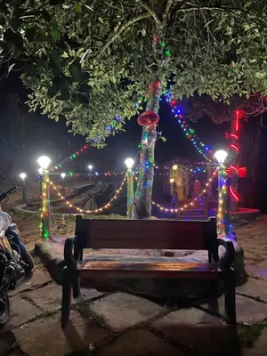 a park bench in front of a tree with christmas lights at Rai’s Coorg Cave House in Madikeri