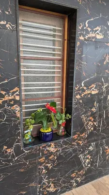 a window with two plants on a window sill at SindooRa in Mysore