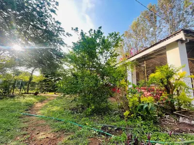 a house with a garden in front of it at Wild Valley Club in Masinagudi
