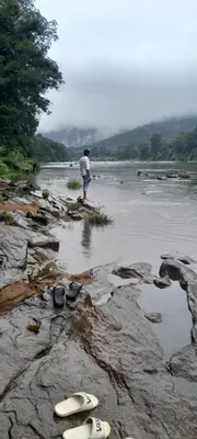 a man standing on the shore of a river with surfboards at SkYVIEW VILLA in Athirappilly