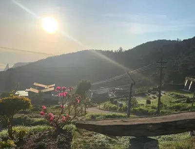 a view of a park with a bench and a mountain at DWELLINGTON in Kotagiri