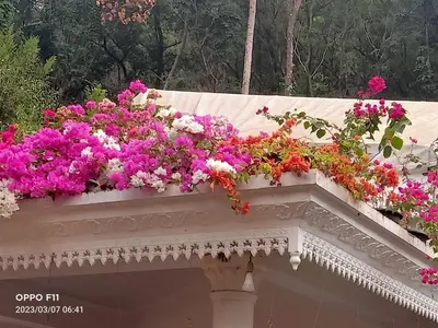 a bunch of flowers on top of a balcony at Moon moon Garden in Thamarassery